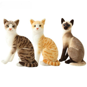 Shorthair & Siamese Cat Plush Toy – Adorable And Lively Companion