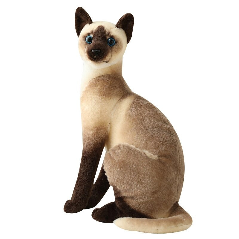 Shorthair & Siamese Cat Plush Toy – Adorable And Lively Companion