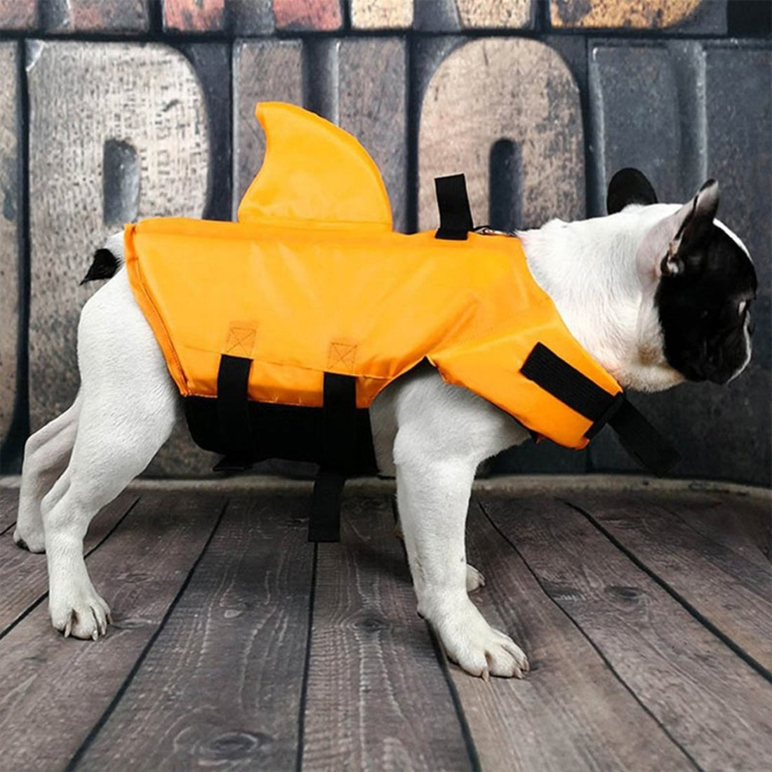 Dog Life Jacket - Enhanced Buoyancy, Adjustable Fit & Quick-Release for Water Adventures - Floating Vest for Dogs 9957152653633-1