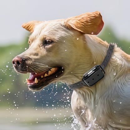 800M Rechargeable Electric Dog Training Collar - Waterproof, Remote Control & Ideal for Effective Dog Training 9975745872193-1