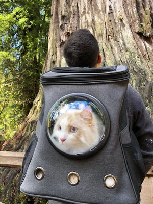 "The Fat Cat" Cat Backpack - For Larger Cats