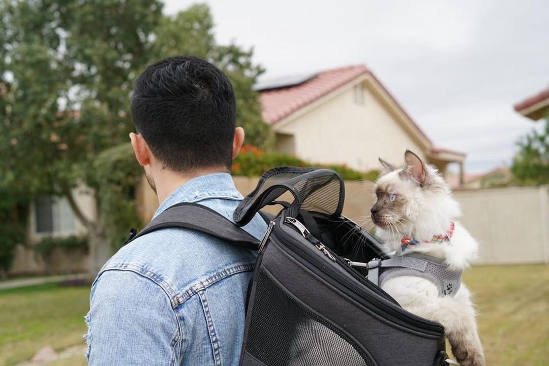 "The Fat Cat" Cat Backpack - For Larger Cats