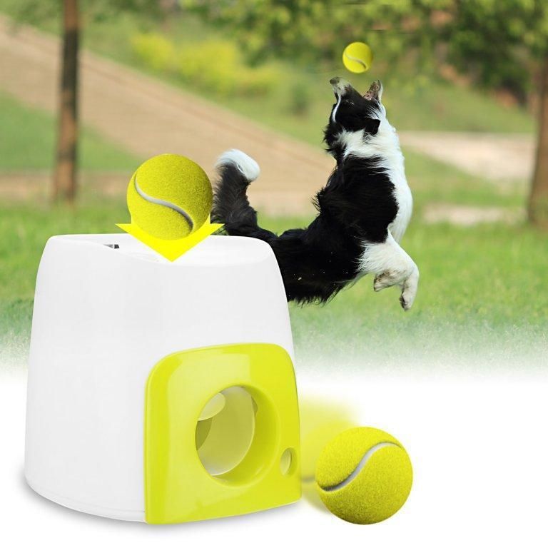 Interactive Automatic Dog Ball Launcher