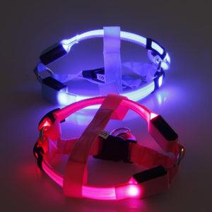 Safewalk Led Dog Harness