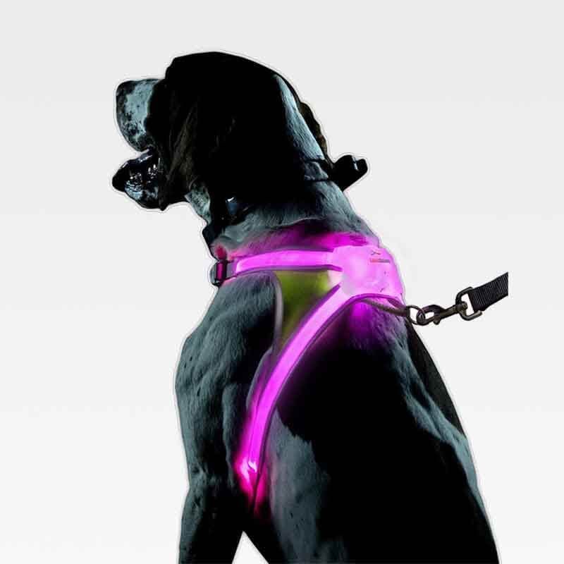 Adjustable LED Dog Harness - Log Leash Light for Night Walks 250307
