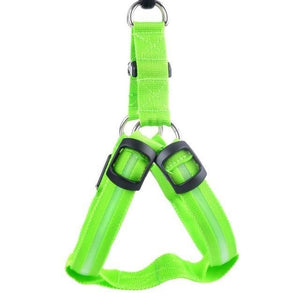 Safewalk Led Dog Harness