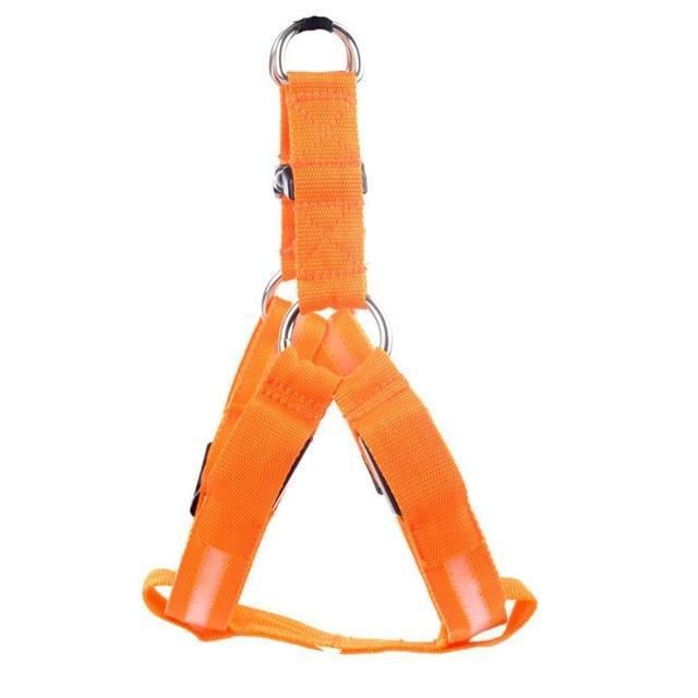 Safewalk Led Dog Harness