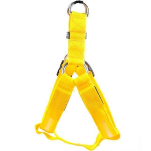 Safewalk Led Dog Harness