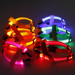 Safewalk Led Dog Harness