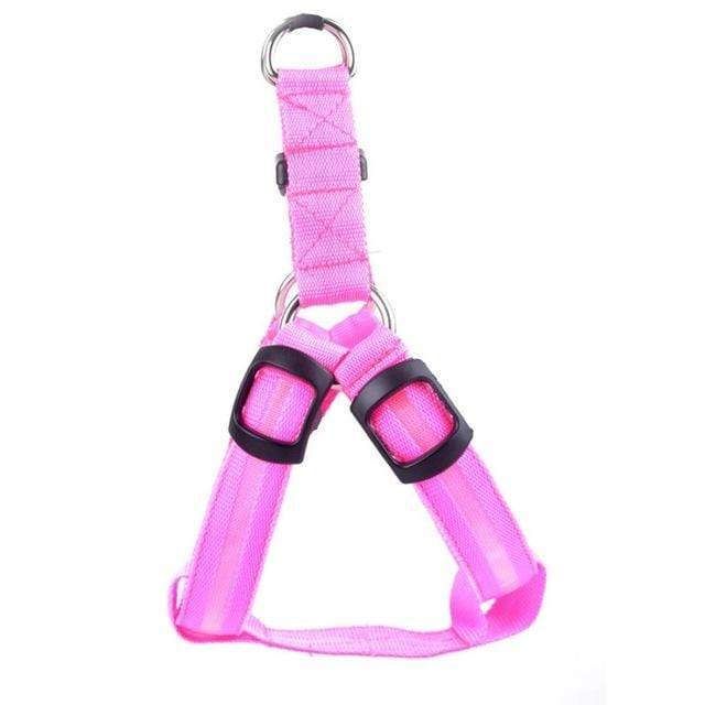 Safewalk Led Dog Harness