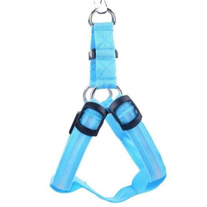 Safewalk Led Dog Harness