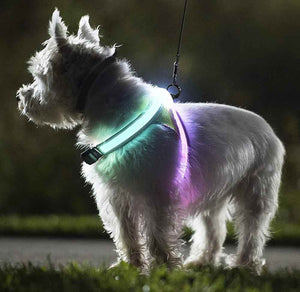 Safewalk Led Dog Harness