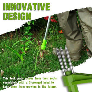 Standing Plant Root Remover