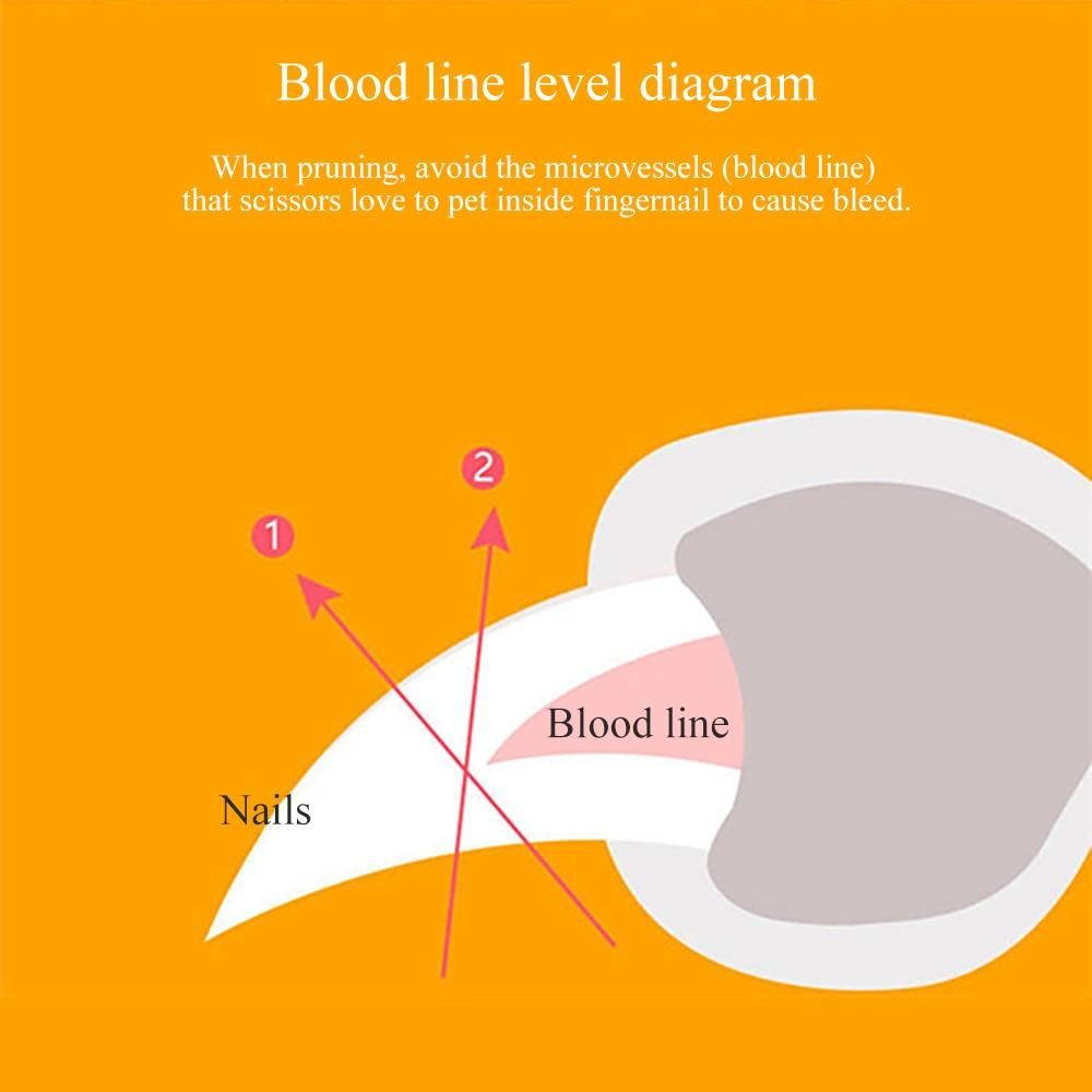 Nail Trimmer For Pets Nail Clippers With Led Light 8142380368072-al