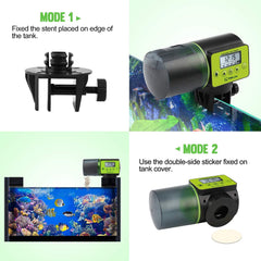 Automatic Fish Feeder