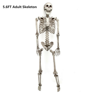 Halloween Prop 5Ft Skeleton Full Size Giant Decoration Skeleton Skull Hand Lifelike Fake Human Body