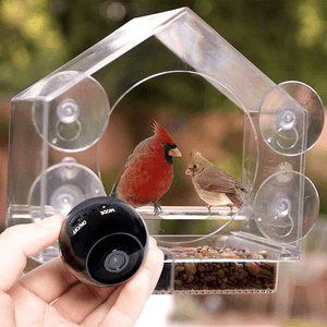 Bird Feeder Camera Live Bird Feeder Cam Bird Buddy Smart Bird Feeder With Camera