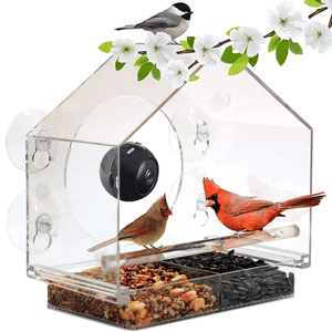 Bird Feeder Camera Live Bird Feeder Cam Bird Buddy Smart Bird Feeder With Camera