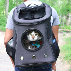 The Fat Cat Backpack For Larger Cats Capsule Bubble Window Cat Carrier