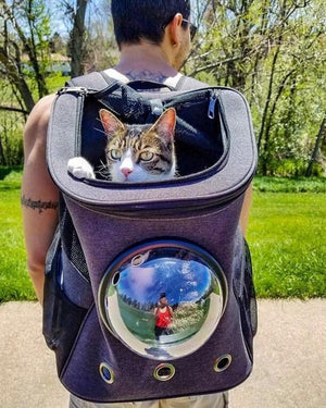 The Fat Cat Backpack For Larger Cats Capsule Bubble Window Cat Carrier