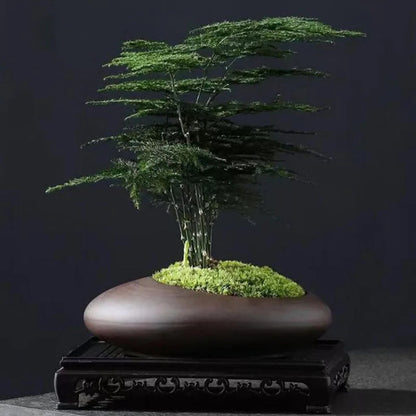 Large-Caliber Ceramic Flowerpot For Office And Balcony (only Flowerpot) 14815629082950-1