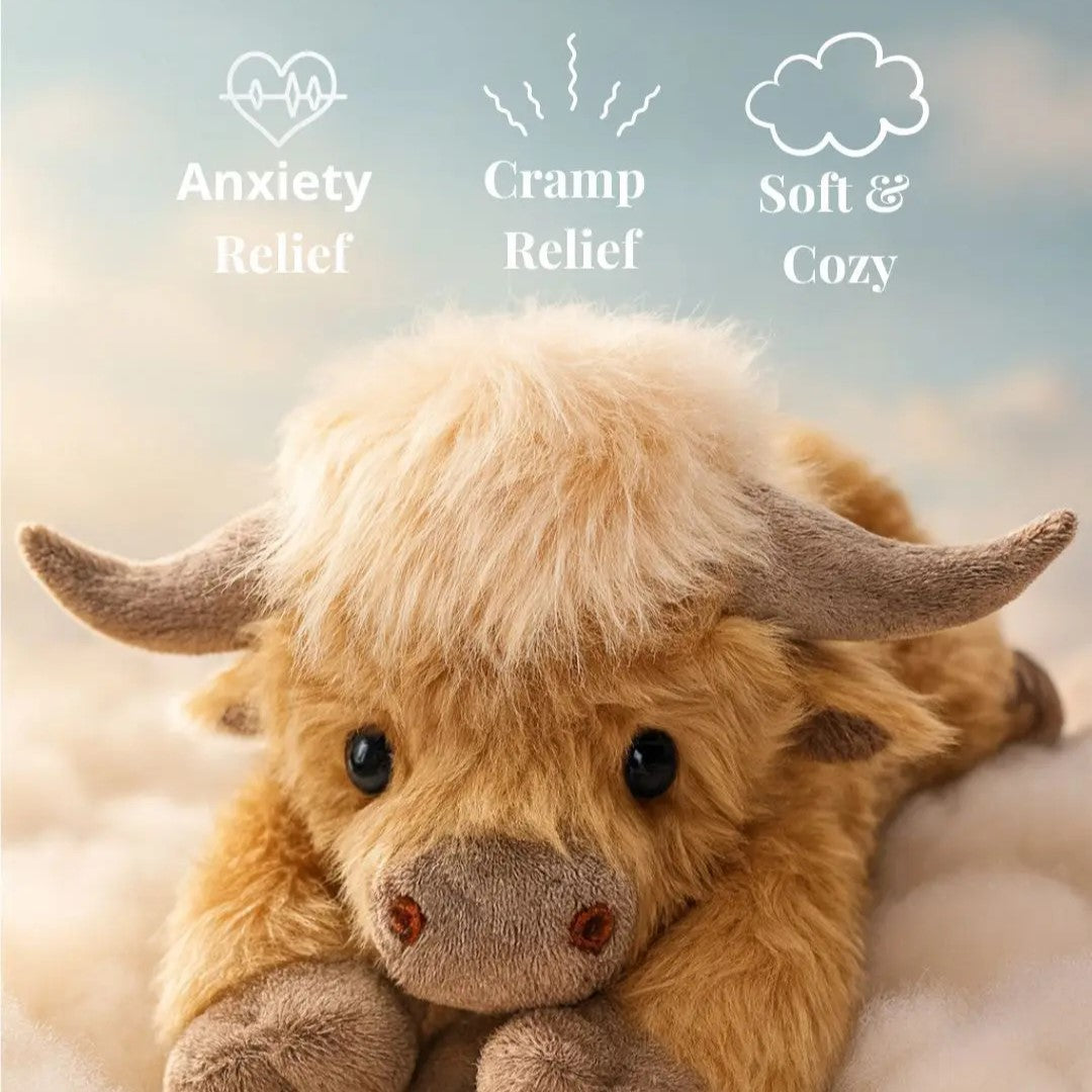 Cute Cartoon Highland Cow Cuddly Toy 2Y+ 15cm x 45cm