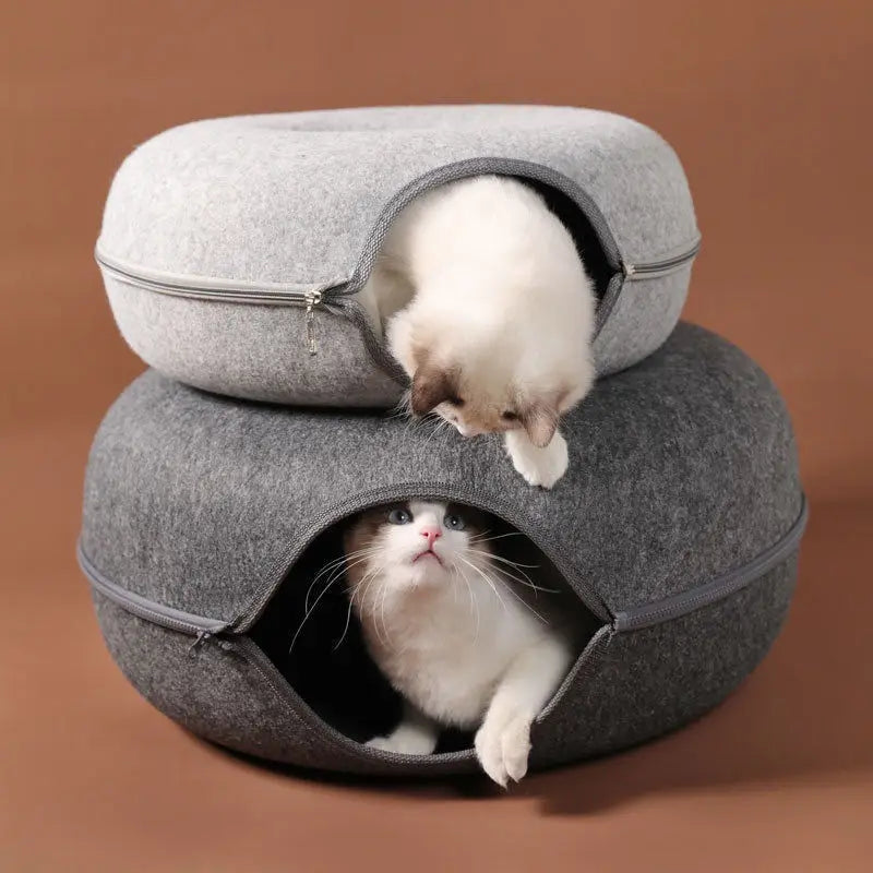 Cat Bed With Tunnel – Comfortable And Entertaining For Cats