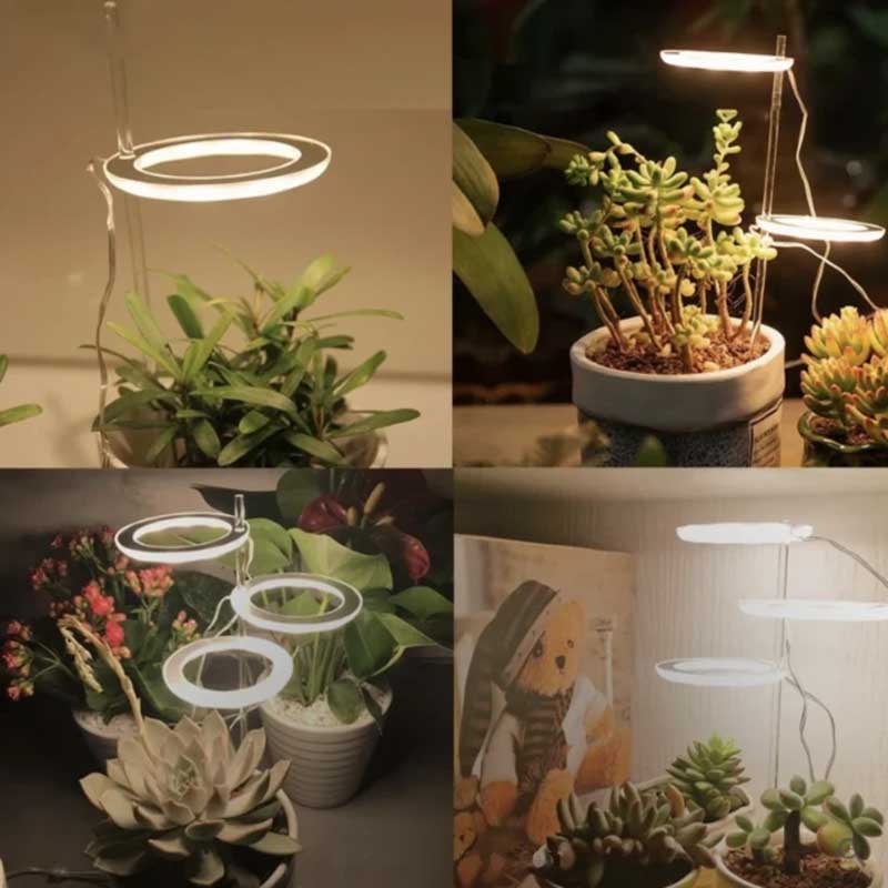 Grow lights for indooe plants 6849890615396-1