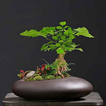 Large-Caliber Ceramic Flowerpot For Office And Balcony (only Flowerpot) 14815629082950-1