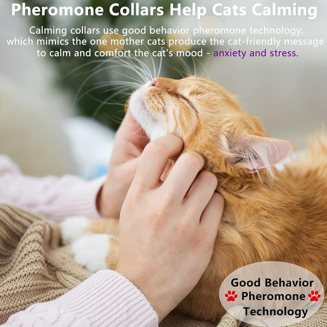 Calming Pheromone Collar for Cats – Pet Anti Anxiety Products 10104796447021-1