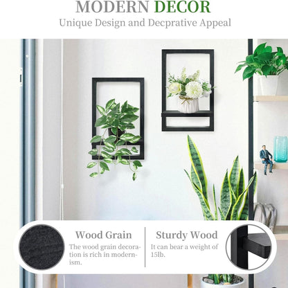 Elevate Your Walls Into Timeless Visual Drama 11642517258508-1