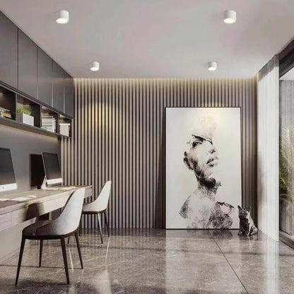 Modern Led Ceiling Light In Black & White 10476294209800-1