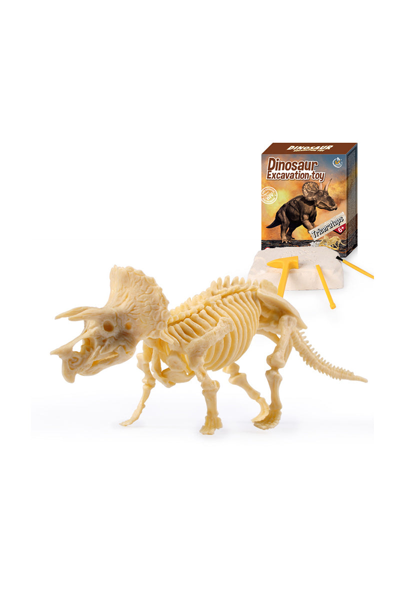 Educational Dinosaur Excavation Toy