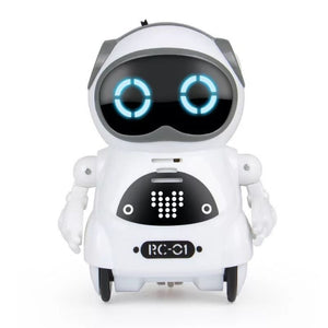 Roxy The Robot Interactive Toy