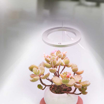 Grow lights for indooe plants 6849890615396-1