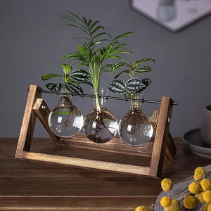 Wooden Plant Propagation Stand With Glass Vases