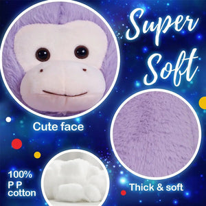 Rainbow Led Monkey Stuffed Animal