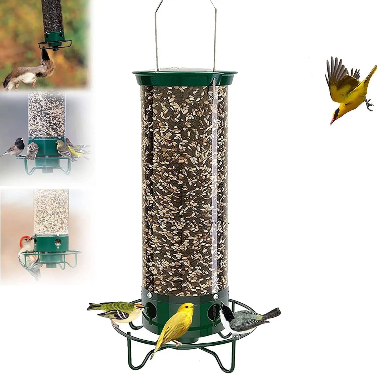 Squirrel Proof Bird Feeder For Outdoor Use