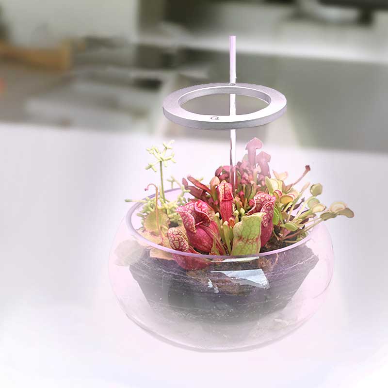 Grow lights for indooe plants 6849890615396-1