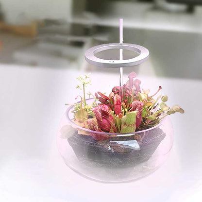 Grow lights for indooe plants 6849890615396-1