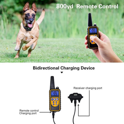 800M Rechargeable Electric Dog Training Collar - Waterproof, Remote Control & Ideal for Effective Dog Training 9975745872193-1