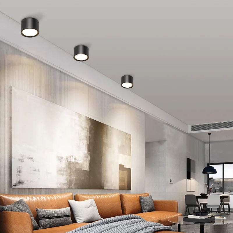 Modern Led Ceiling Light In Black & White 10476294209800-1