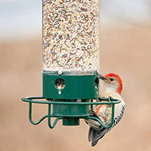 Squirrel Proof Bird Feeder For Outdoor Use