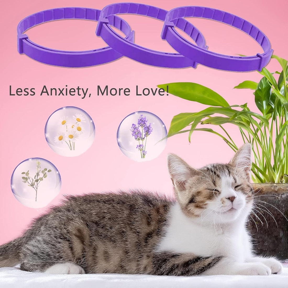 Calming Pheromone Collar for Cats – Pet Anti Anxiety Products 10104796447021-1