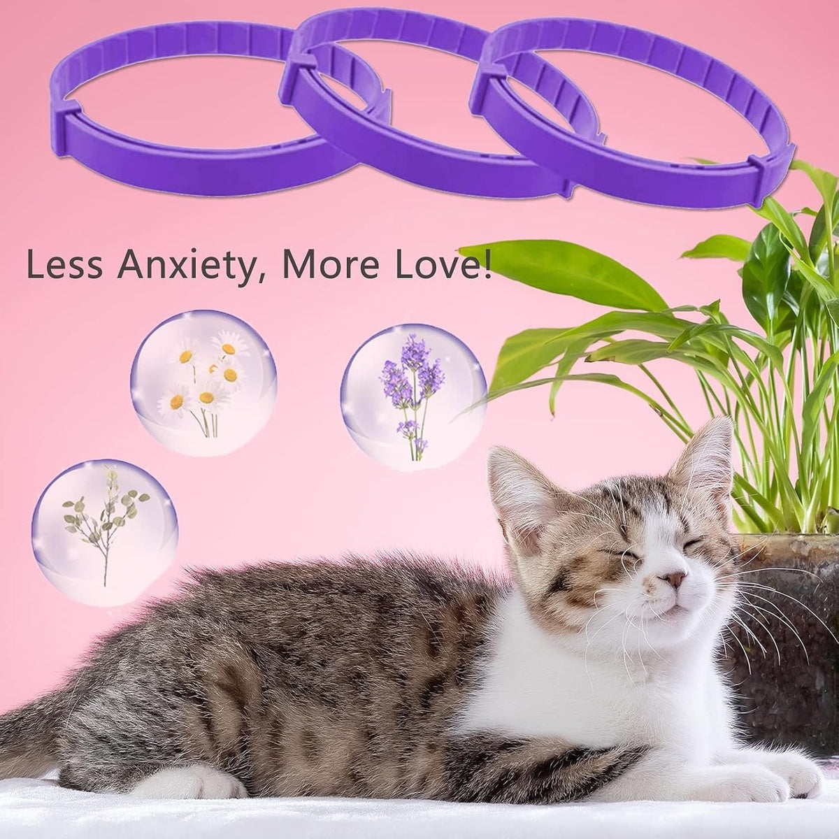 Calming Pheromone Collar for Cats – Pet Anti Anxiety Products 10104796447021-1