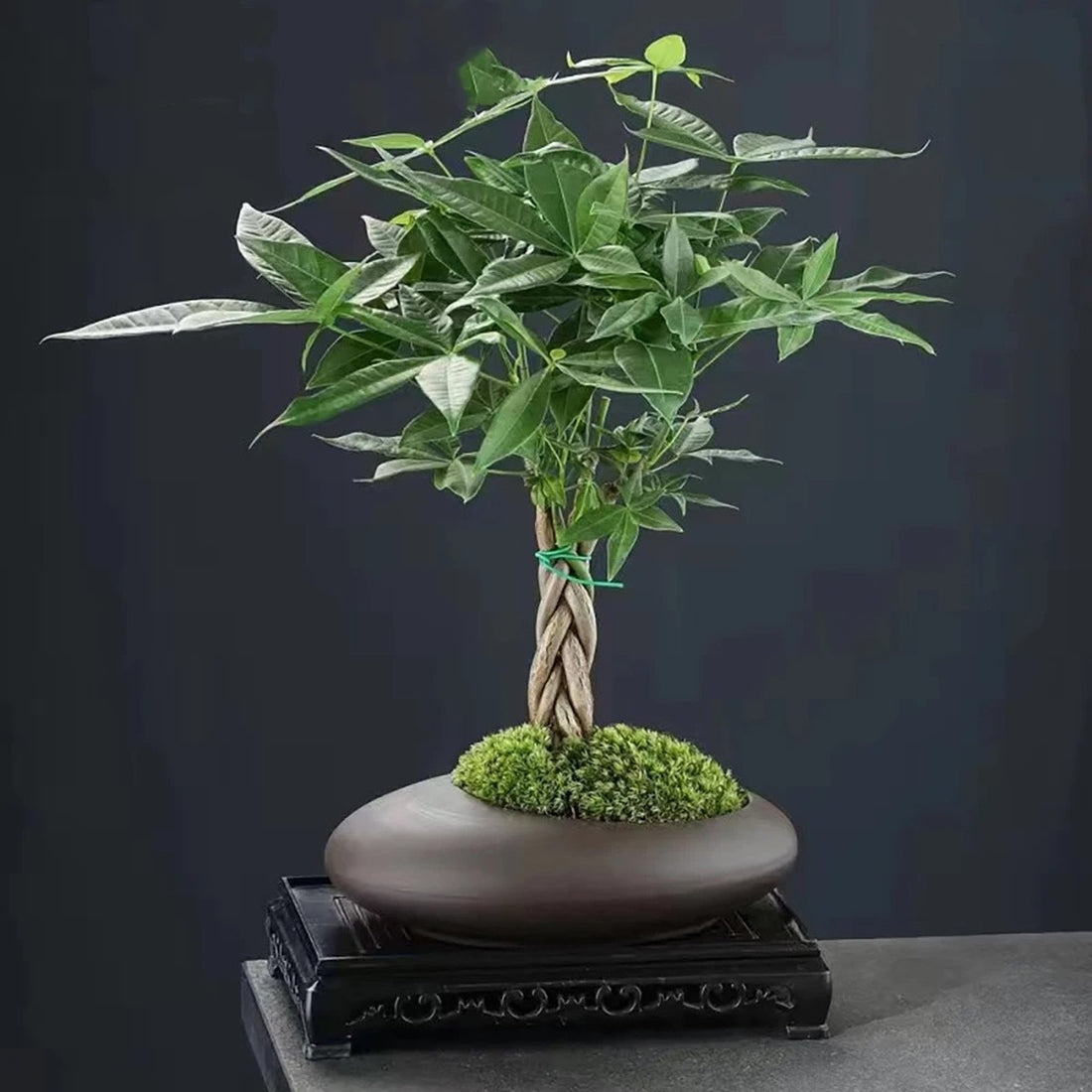 Large-Caliber Ceramic Flowerpot For Office And Balcony (only Flowerpot) 14815629082950-1