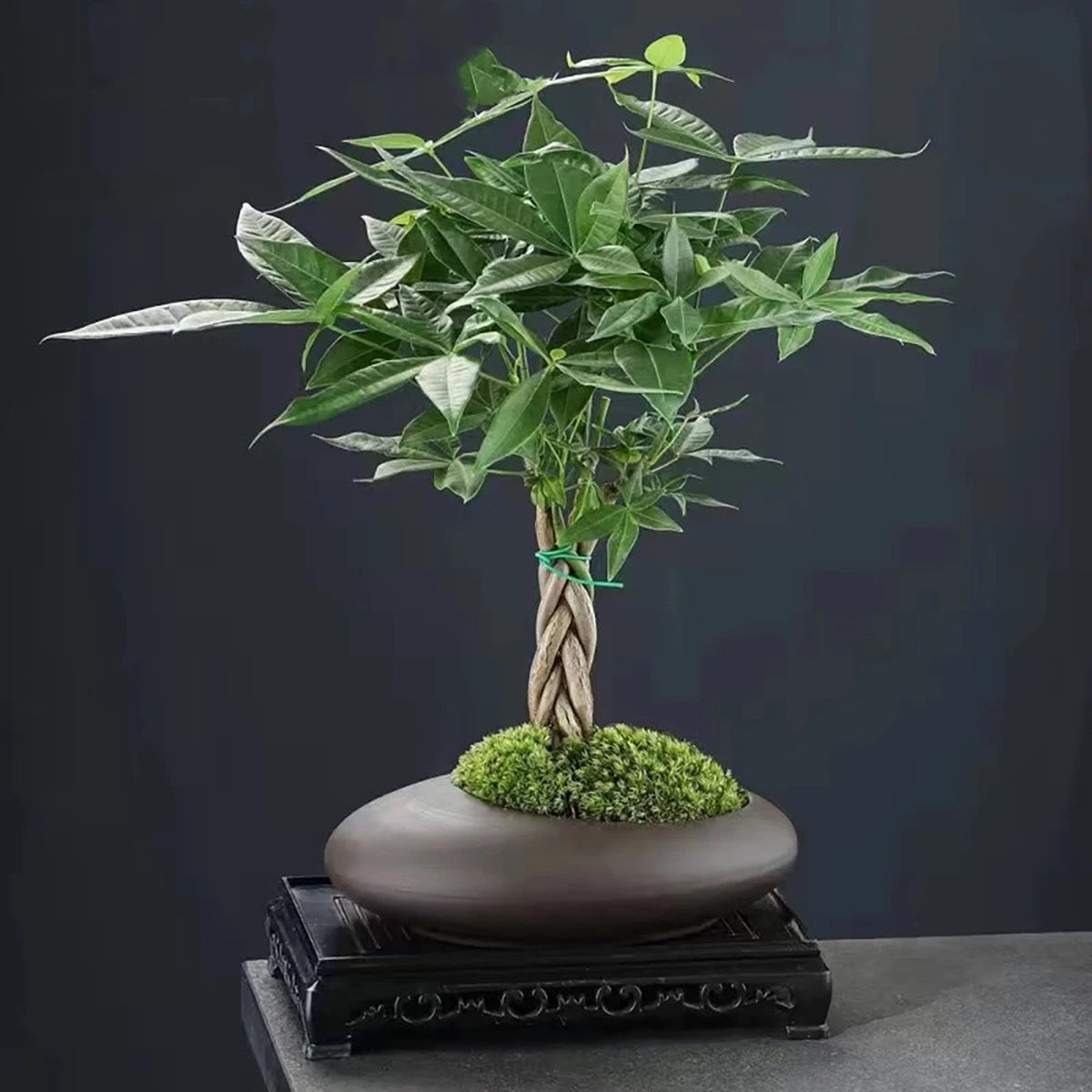 Large-Caliber Ceramic Flowerpot For Office And Balcony (only Flowerpot) 14815629082950-1
