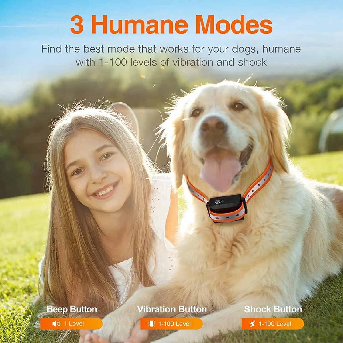 1000m Waterproof Dog Training Collar - Rechargeable, Remote Control & Adjustable for Small, Medium, and Large Dogs 9950235132225-1