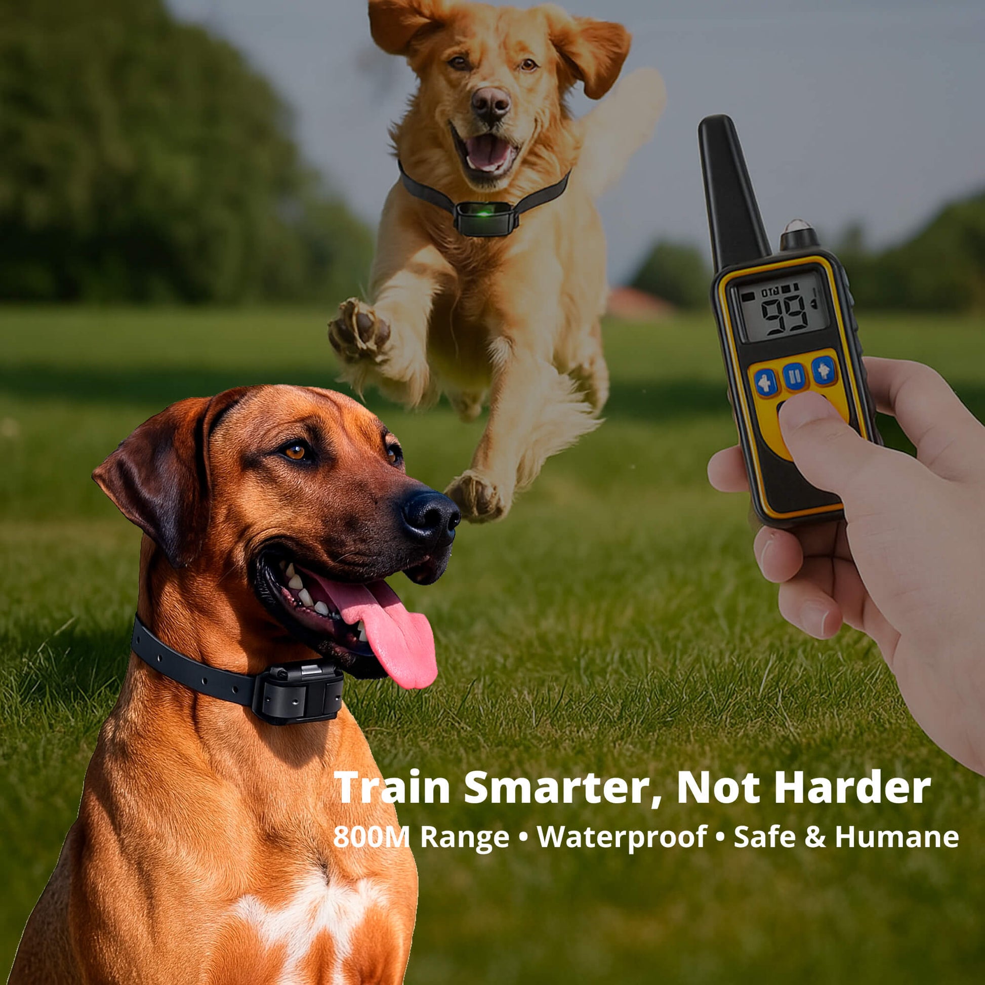 800M Rechargeable Electric Dog Training Collar - Waterproof, Remote Control & Ideal for Effective Dog Training 9975745872193-1