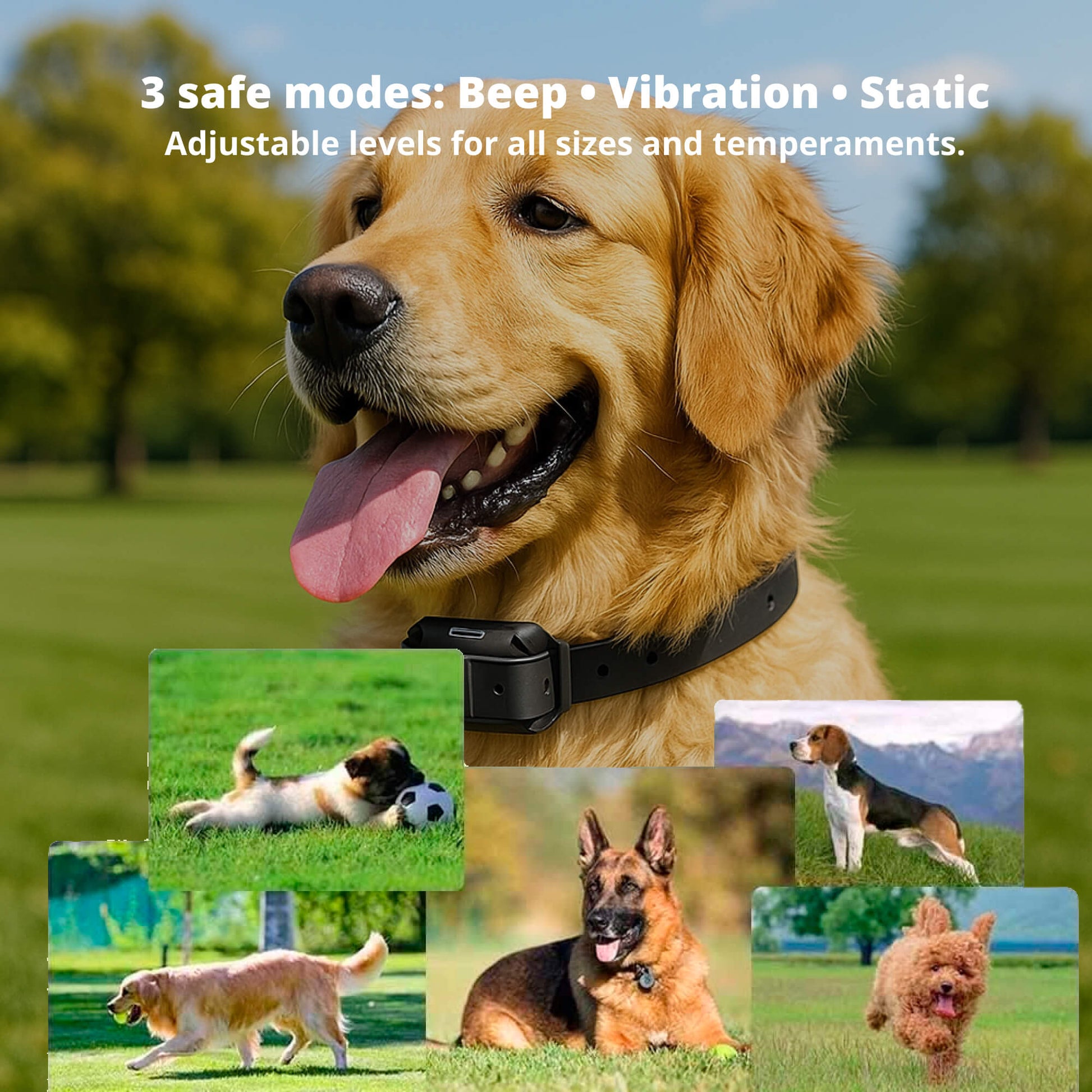 800M Rechargeable Electric Dog Training Collar - Waterproof, Remote Control & Ideal for Effective Dog Training 9975745872193-1
